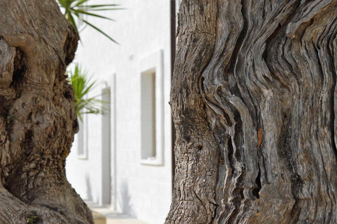 Masseria Torrepietra Monopoli Eksteriør bilde